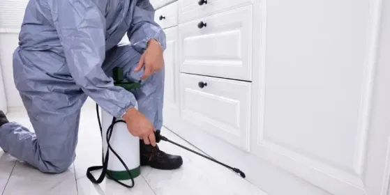 How to Grow Your Pest Control Business in 2026 | DemandHub