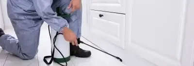 14 Effective ways to Grow Your Pest Control Business in 2026