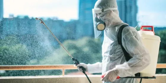 Top 9 SEO Strategies for Pest Control Businesses | DemandHub